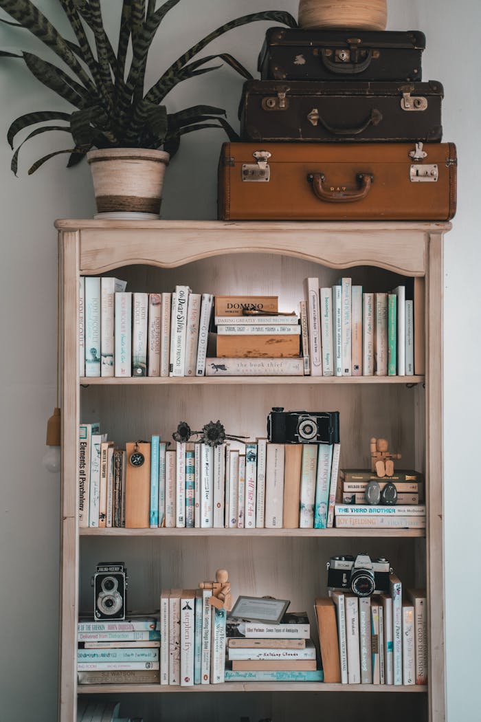 A vintage-themed bookshelf featuring books, cameras, and decorative items, perfect for interior decor inspiration.